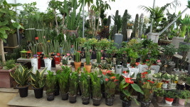 송강꽃집테크노점