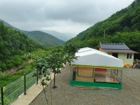 1번지민박