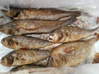 신미수산