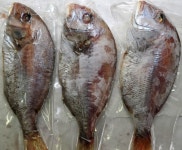신미수산