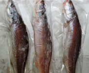 신미수산