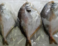 신미수산