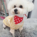 개편한이발소