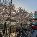 핀더스