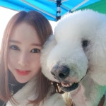 개편한이발소