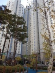 단지내정문공인중개사사무소