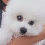 개편한이발소