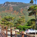 황매산관광농원