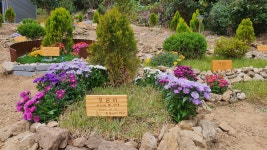 몽몽이엠파크 반려동물장례식장