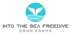 인투더씨 프리다이브