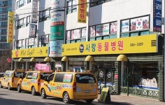 유나이티드 경희대 힘차리 태권도장