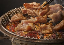 불막열삼 진주초전점