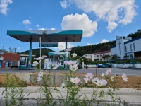 유달주유소