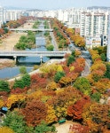 강남공인중개사 사무소