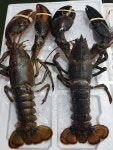 솔가실농수산