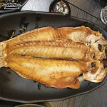 한라산도새기