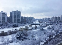 강남공인중개사 사무소