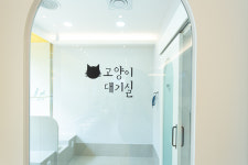 마음을 읽어주는 마음동물병원
