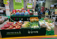 광성부식