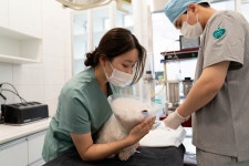 당신의동물의료센터
