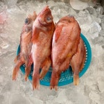 윤자네 수산