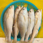 중앙수산