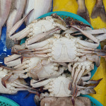 중앙수산