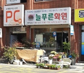 늘푸른화원