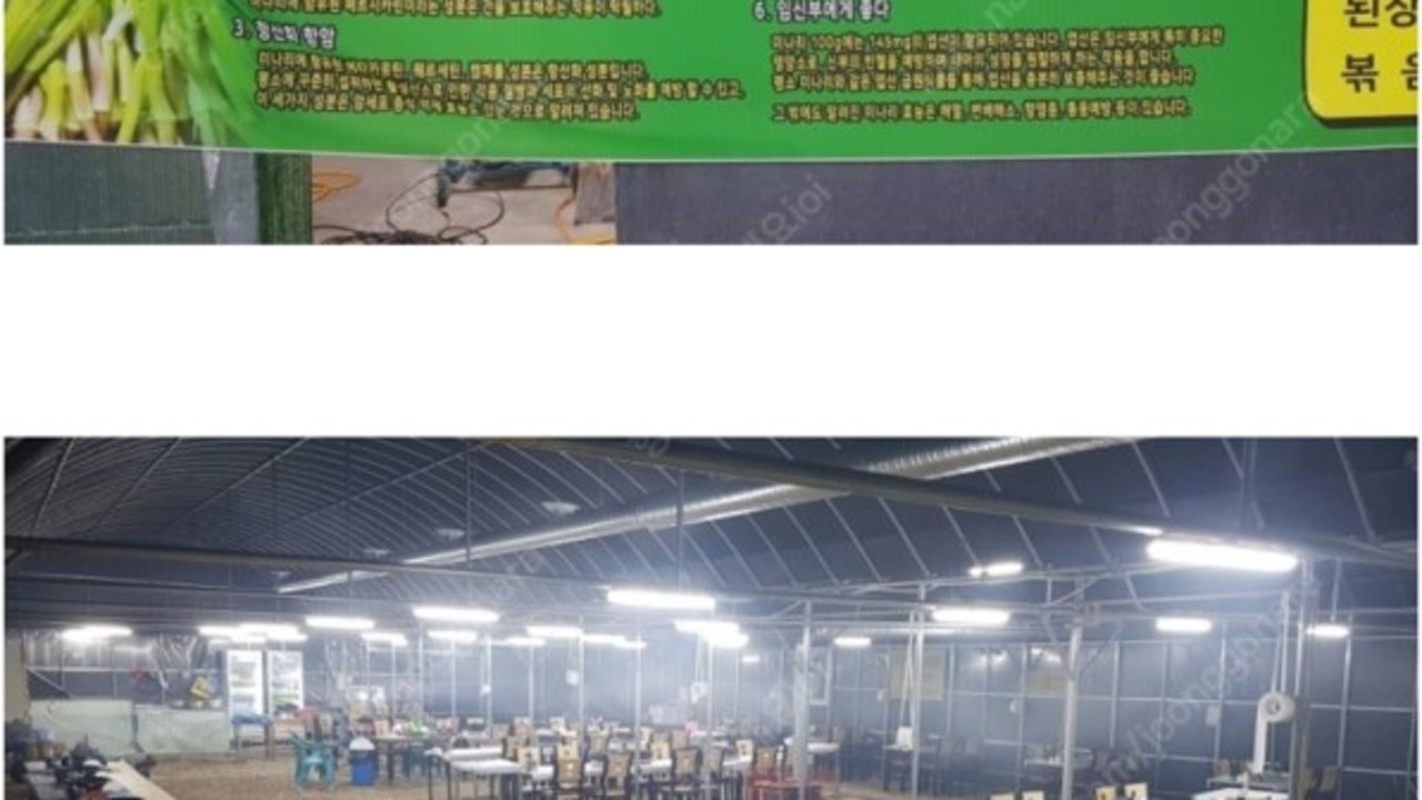 보경사미나리
