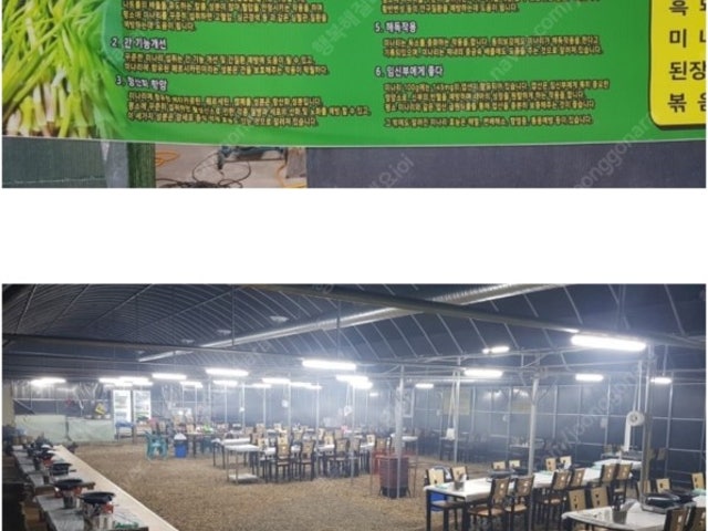 보경사미나리