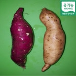 팜코리아친환경영농조합법인