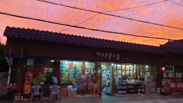 개구리문구