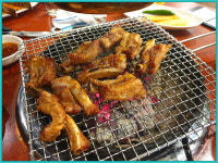 신참아나고