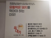 육대가