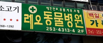 레오동물병원