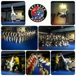 KA태권도체대입시