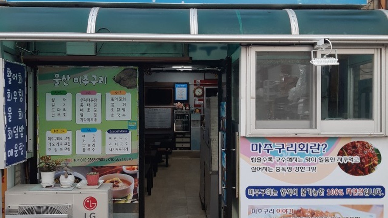 울산미주구리