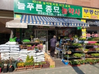 늘푸른종묘농약사