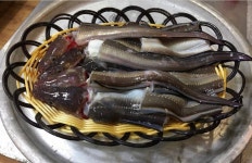 명가장어구이