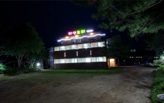 파인트리