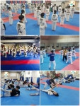 KA태권도체대입시
