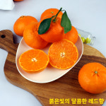 제주초록이네농장