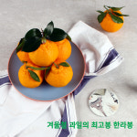 제주초록이네농장