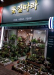 꽃길따라