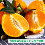 제주초록이네농장