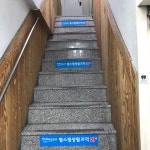 펄스캠 생활과학
