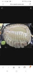 참바다회독도수산