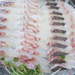 참바다회독도수산