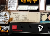 꽃담