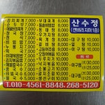 산수정